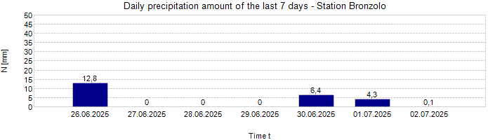 Daily precipitation