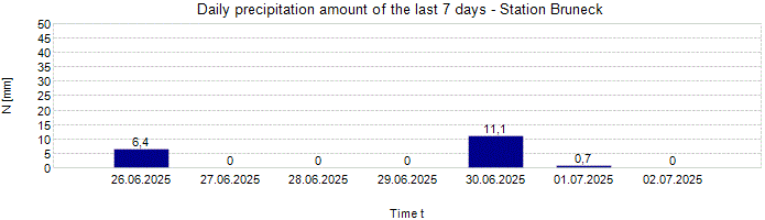 Daily precipitation