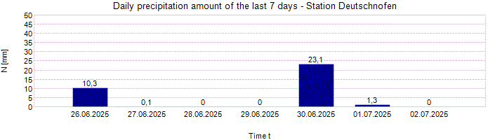 Daily precipitation