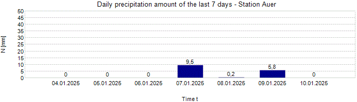 Daily precipitation