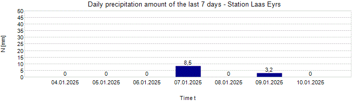 Daily precipitation