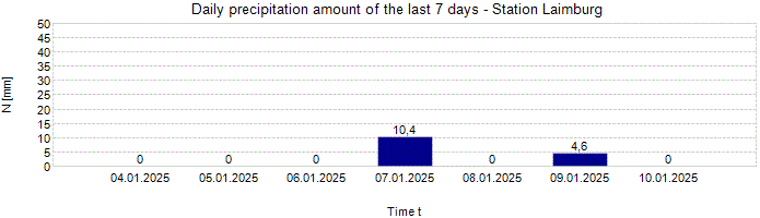 Daily precipitation