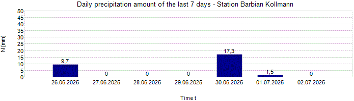 Daily precipitation