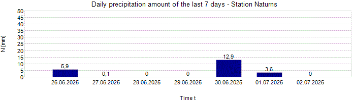 Daily precipitation