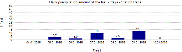 Daily precipitation