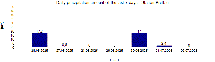 Daily precipitation