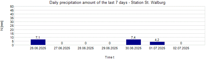 Daily precipitation