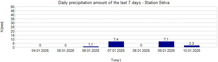 Daily precipitation