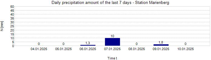 Daily precipitation