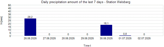 Daily precipitation