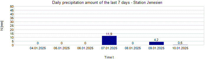 Daily precipitation