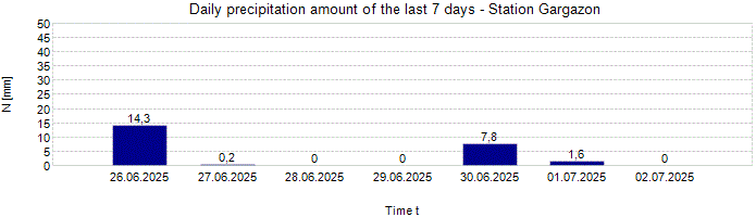 Daily precipitation