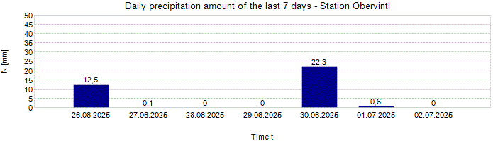 Daily precipitation